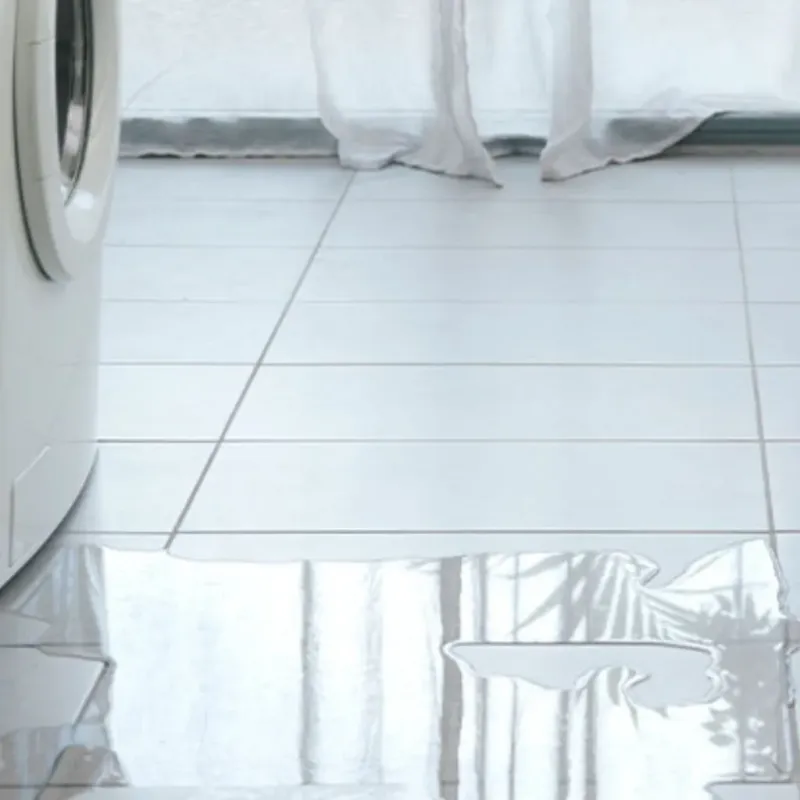 Appliance Leak Cleanup in Lafayette, CA