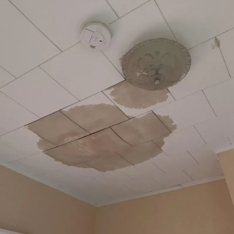 Ceiling Water Damage Repair in Lafayette, CA
